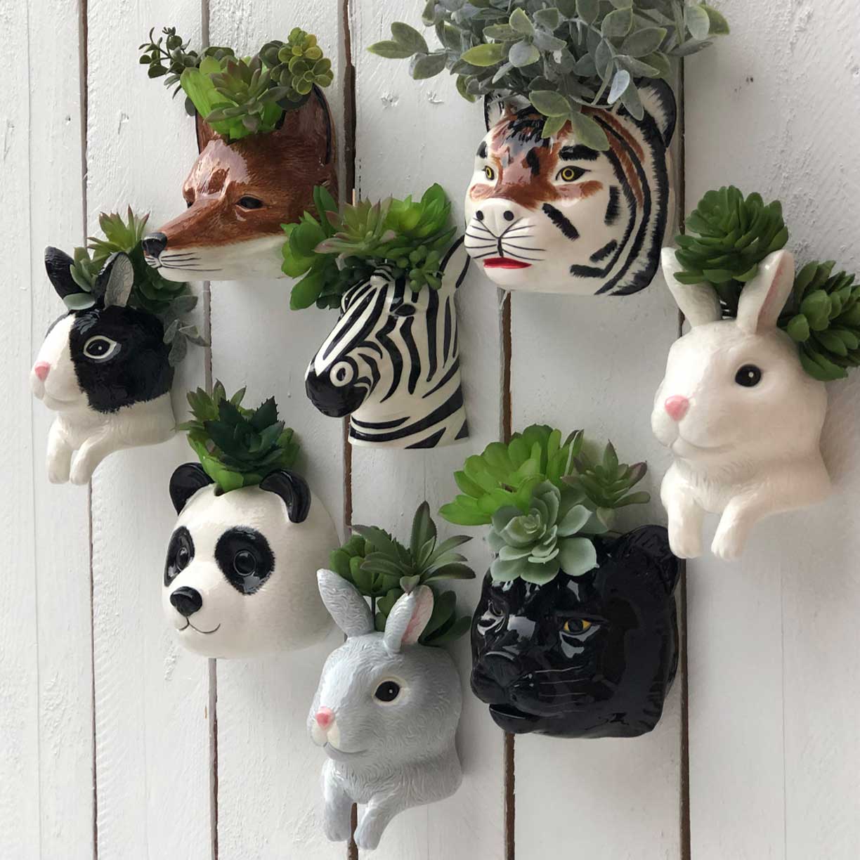 wall vases