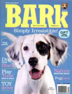 BARK – Naked Decor