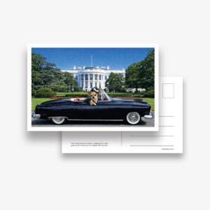 Set of 6 Postcards: DC Dog City- The White House
