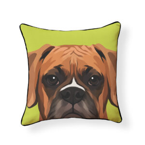 Boxer Pillow