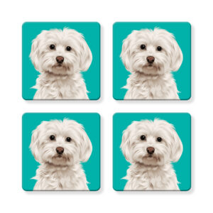 Set of 4 MDF Coasters - Maltese
