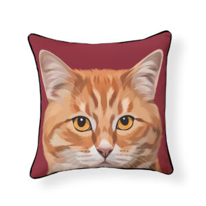 Orange Tabby Kitty Cat Pillow