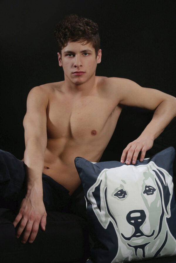 Labrador Retriever Pillow - Image 4