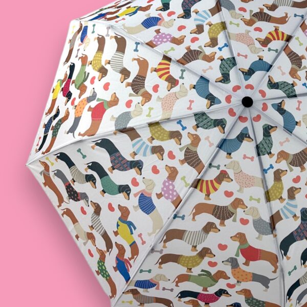 Dachshund Doxies Nation Umbrella