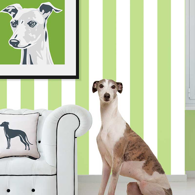 Greyhound dog by couch with Naked Decor Greyhound pillow and framed Greyhound picture above the couch.
