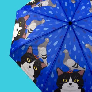 Pigeon on Tuxedo Cat Umbrella