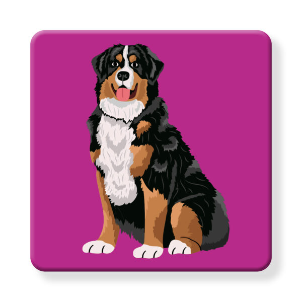 Set of 4 MDF Coasters - Hello Bernese Mountain Dog - Image 2