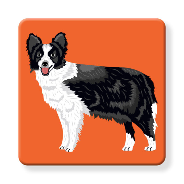 Set of 4 MDF Coasters - Hello Border Collie - Image 2