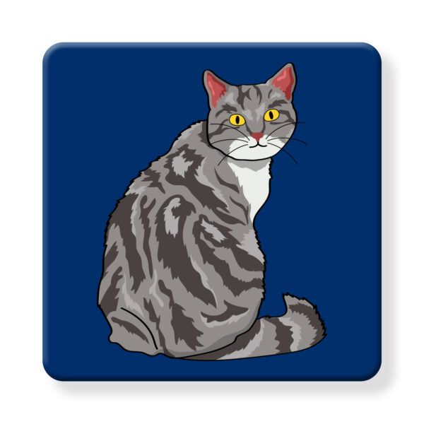 Set of 4 MDF Coasters - Hello Gray Tabby - Image 2