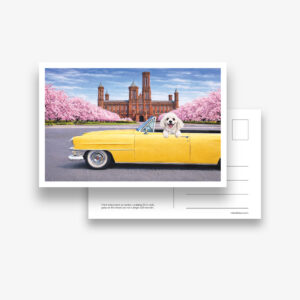 Set of 6 Postcards: DC Dog City- DC Castle