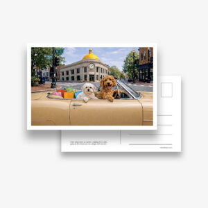 Set of 6 Postcards: DC Dog City- Georgetown