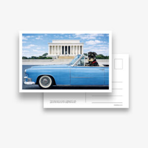 Set of 6 Postcards: DC Dog City- Lincoln Memorial