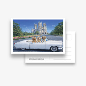 Set of 6 Postcards: DC Dog City- National Cathedral