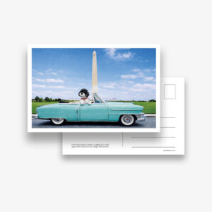 Set of 6 Postcards: DC Dog City- Washington Monument