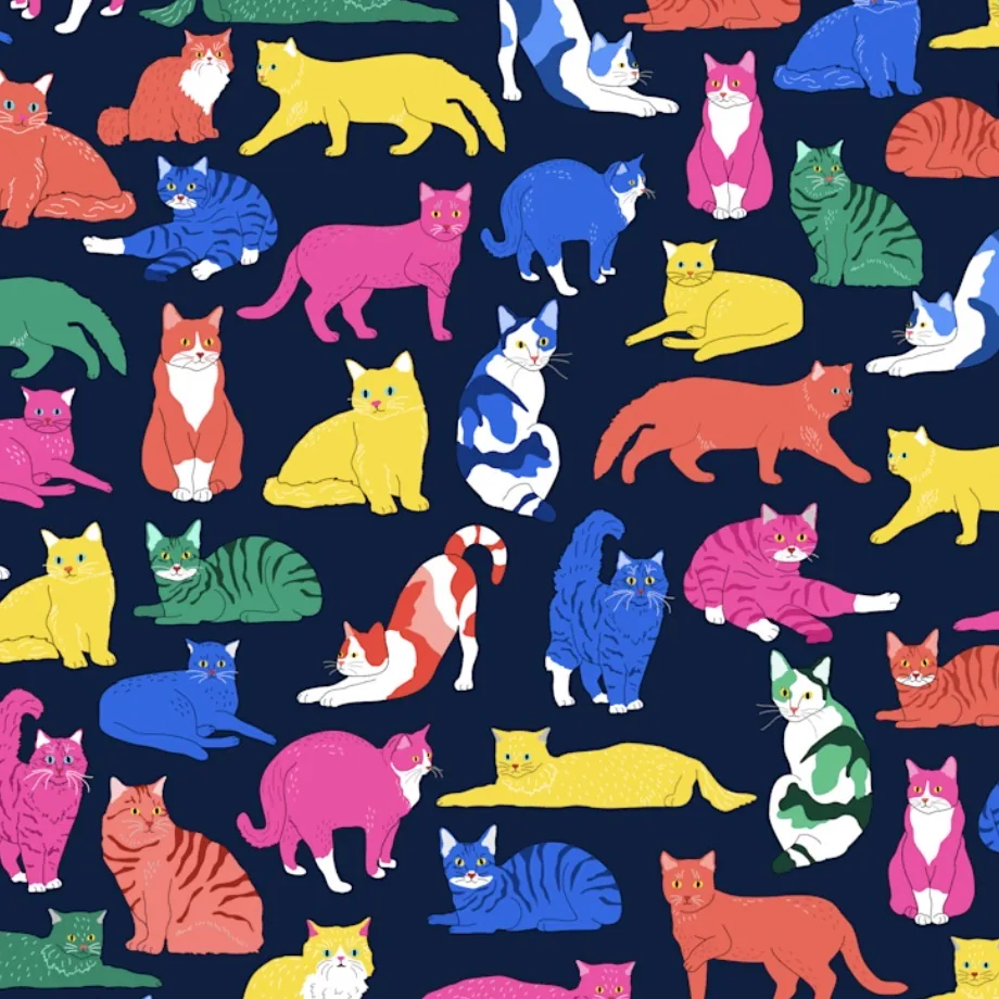 Colorful illustrated cats in many poses on a navy background